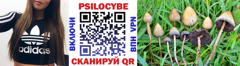 Купить  Карабулак  Псилоцибиновые грибы мухоморы 